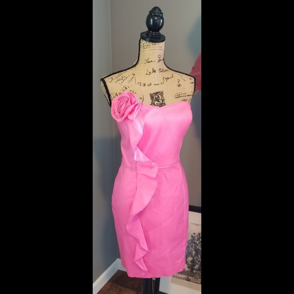 Barbie pink Jessica Simpson strapless formal dress sz 12
